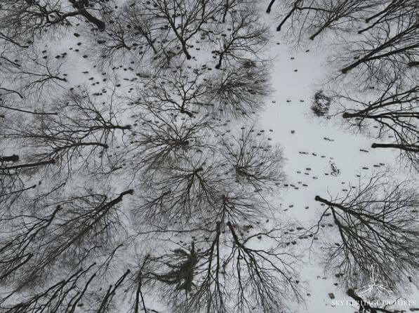 Taking a New Vantage Point in Search of  New Meanings